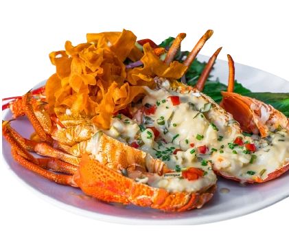 写真：ロブスター