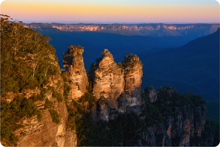 写真：ブルーマウンテンズ日帰りツアー
