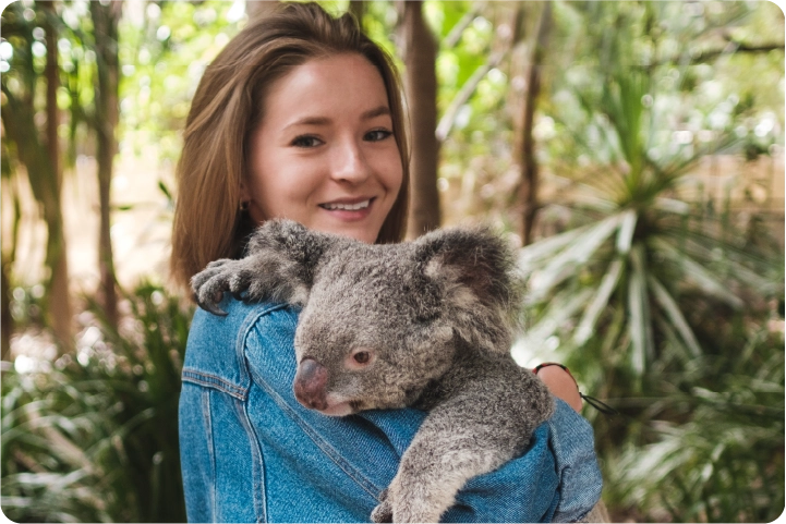 写真：コアラ抱っこ体験