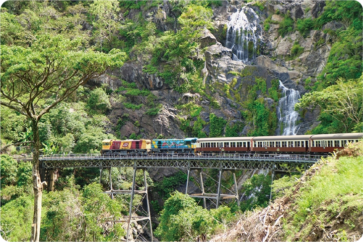 写真：キュランダ熱帯雨林ガイドツアー