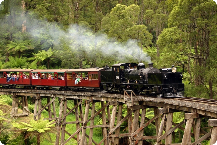 写真：パフィングビリー鉄道 蒸気機関車の旅