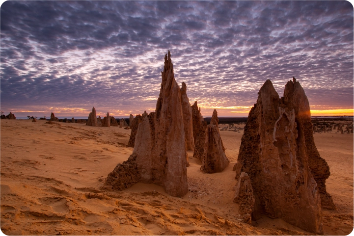 写真：ピナクルズ砂漠体験ツアー
